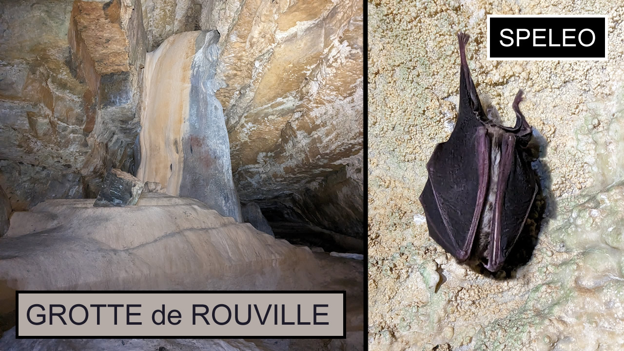 SPELEO | Grotte de Rouville - Tout ce qui est petit est mignon !
